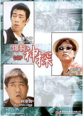 99国产精品久久久久久久成人热